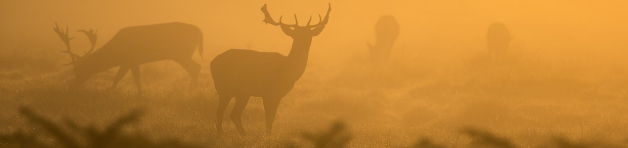 Lovački savez Varaždinske županije