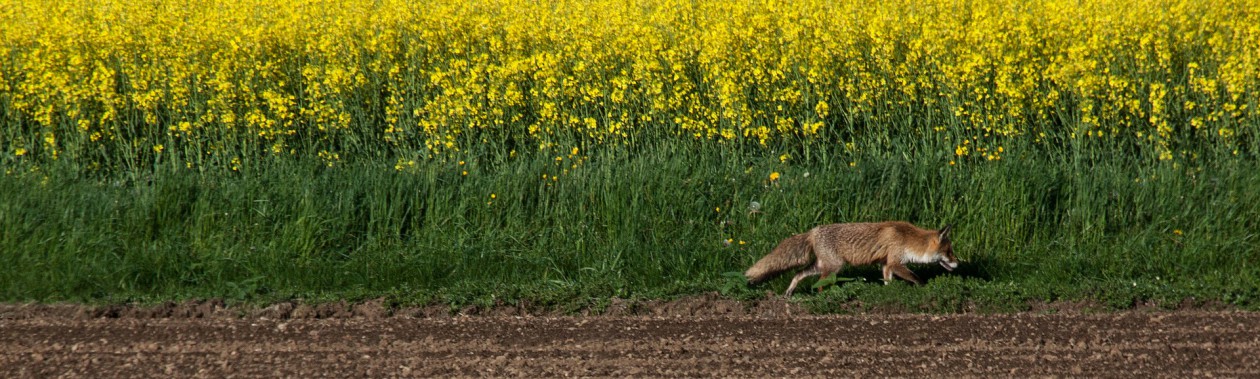Lovački savez Varaždinske županije