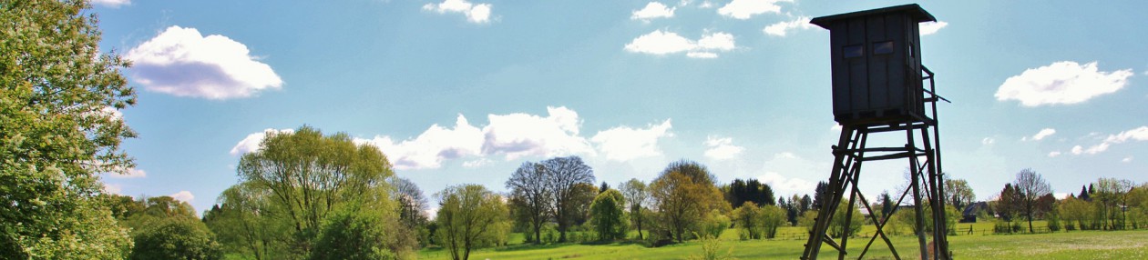 Lovački savez Varaždinske županije