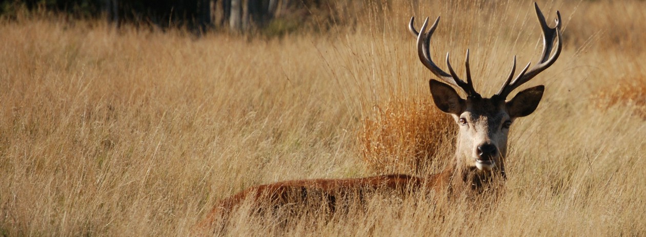 Lovački savez Varaždinske županije